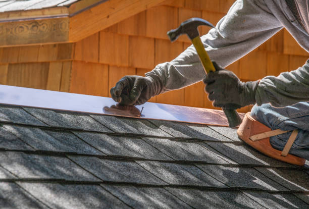 Best Roof Moss and Algae Removal  in Dawson, GA