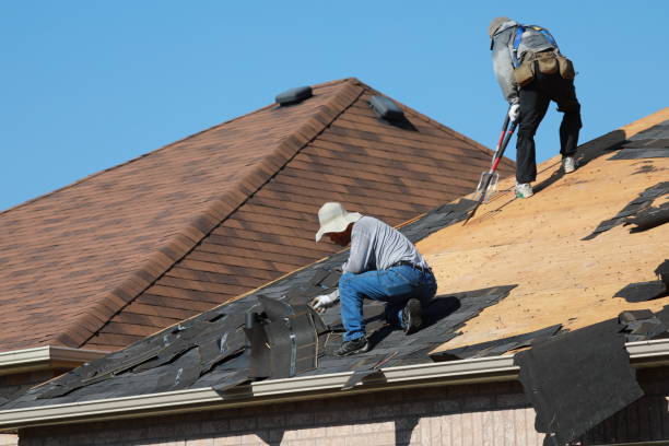 Best Roof Coating Services  in Dawson, GA