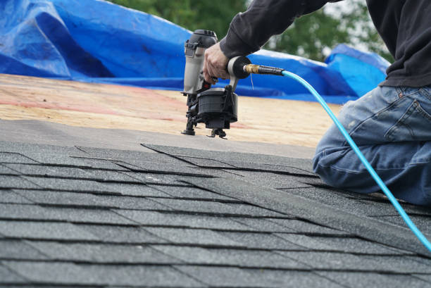 Best Solar Panel Roofing Installation  in Dawson, GA